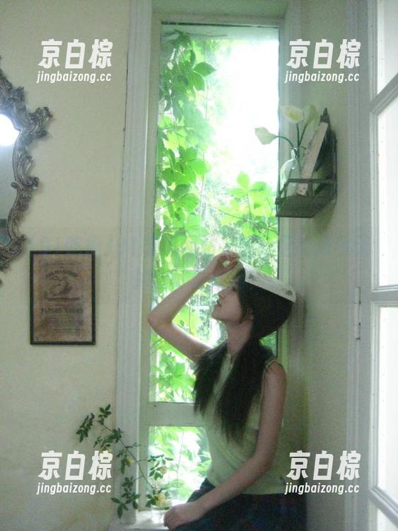 91吃瓜网站，这社区的瓜今天掉得可真欢啊！