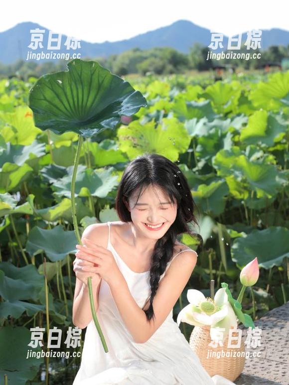 网页上的瓜太甜了，www.17.c346com就是我的‘秘密花园’！