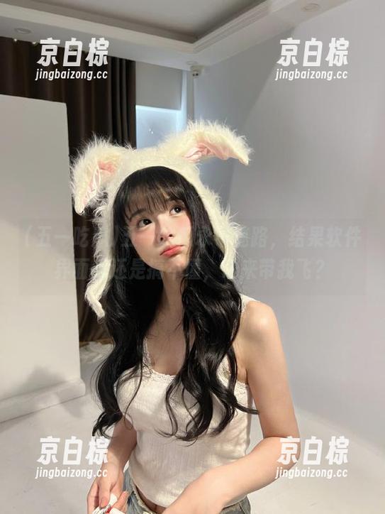 五一吃瓜永不迷路，结果软件界面我还是搞不懂，谁来带我飞？
