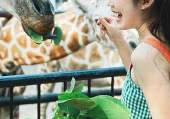 今日吃瓜网站：别说你没见过这么“精彩”的网红黑料秀！
