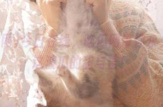 今日在线，吃瓜网带你永久体验这波瓜的甜与苦！