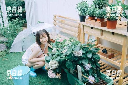 黑料正能量169：告诉你如何“永不迷路”在人生的瓜田里打转！