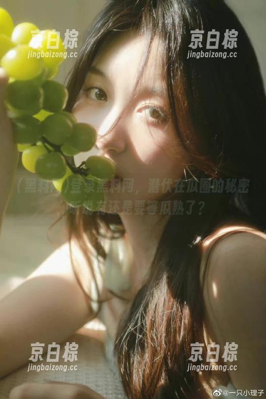 登录黑料网，潜伏在瓜圈的秘密，听说有还是要等瓜熟了？